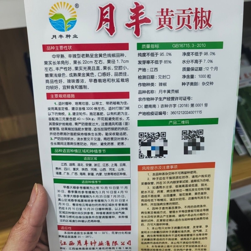 月丰黄贡椒种子中早熟果长腔小辣味香浓鲜食制酱