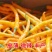 月丰黄贡椒种子中早熟果长腔小辣味香浓鲜食制酱