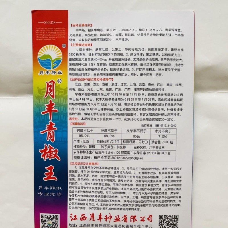 月丰青椒王辣椒种子光亮顺直连续坐果强辣味适中