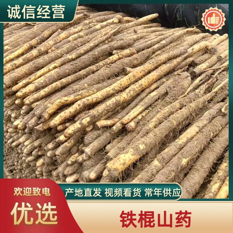 铁棍山药河北山药产地一手货源条形好口感好量大优惠