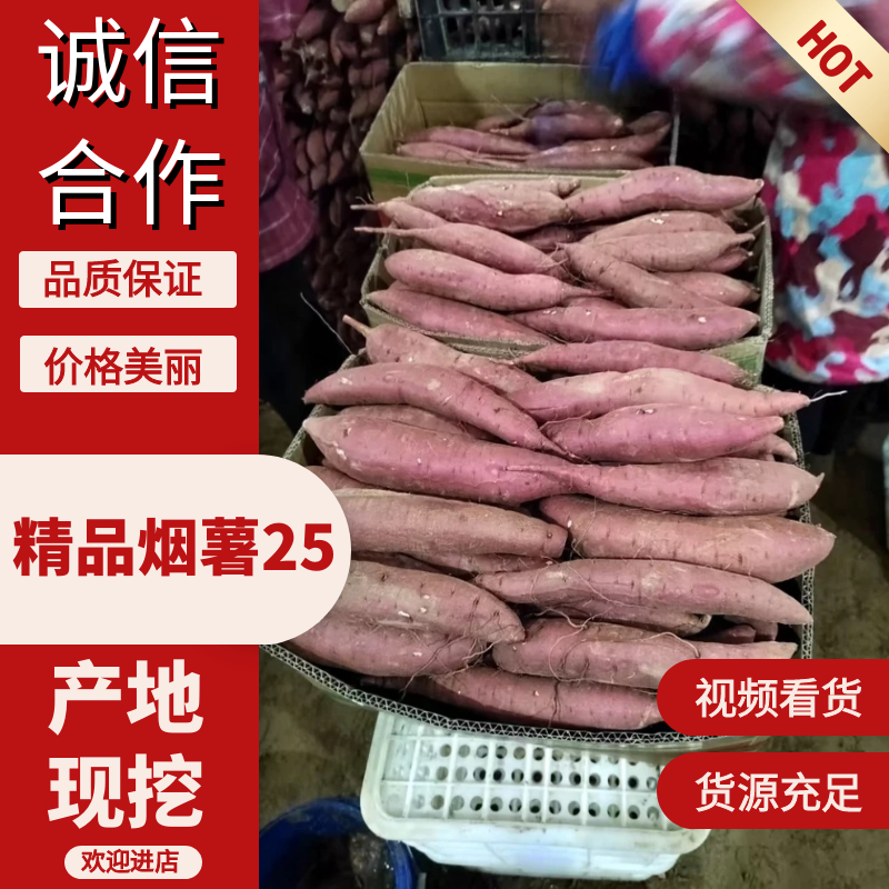 精品烟薯25河北烟薯河北红薯对接电商社区团购市场等