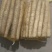 河北小白嘴白山药产地直发大量现货30-80好箱货