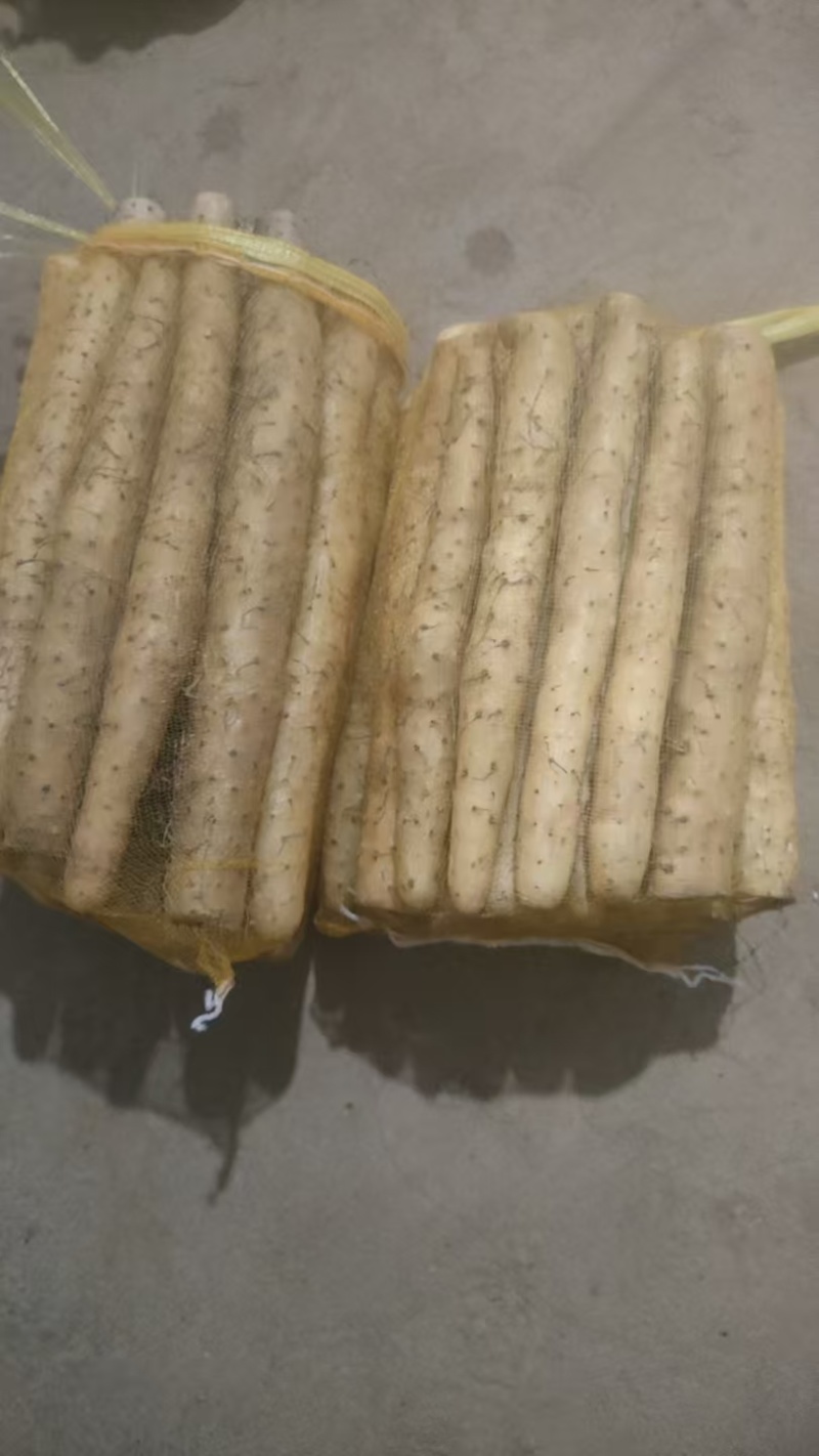 河北小白嘴白山药产地直发大量现货30-80好箱货