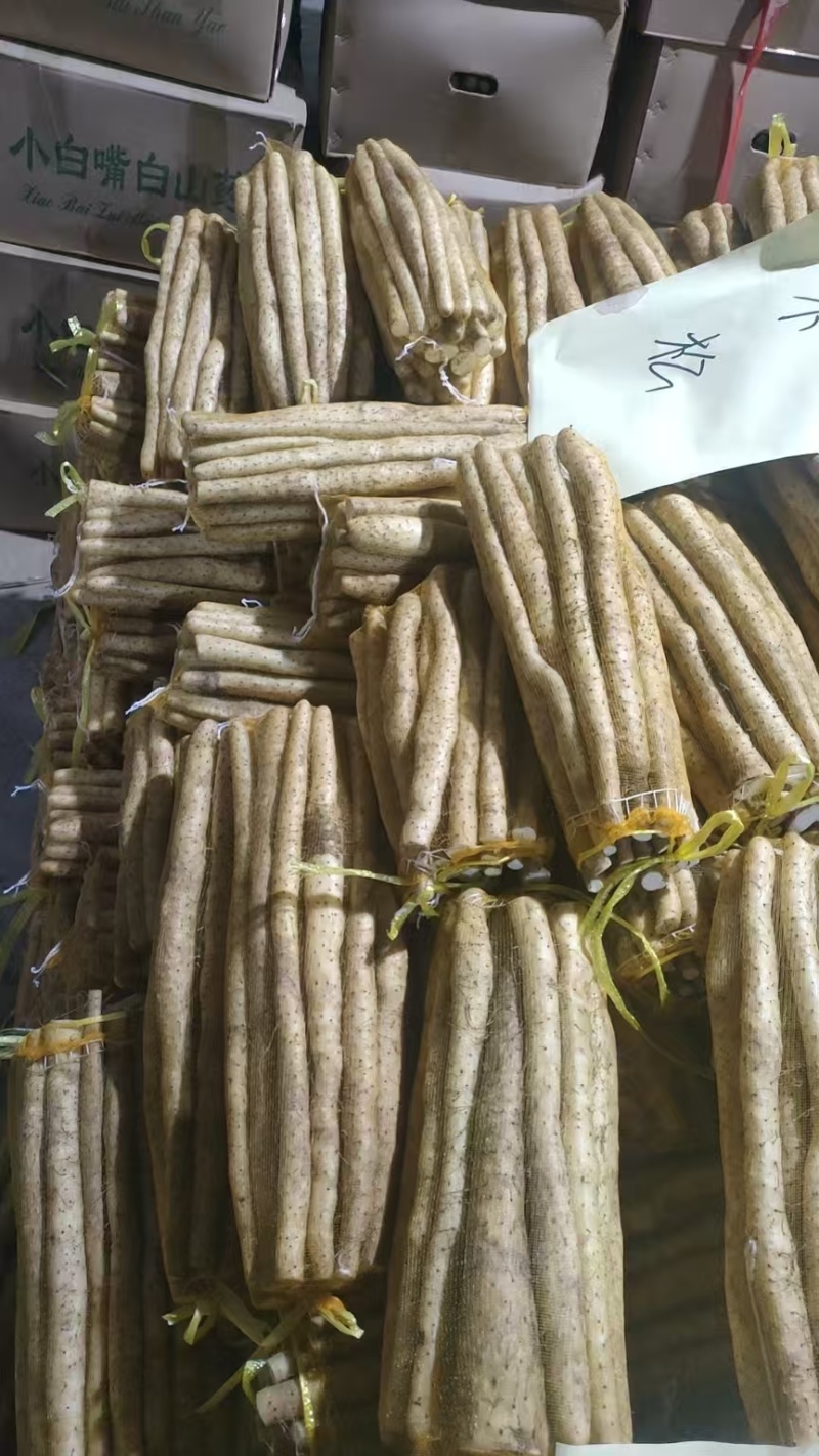 河北小白嘴白山药产地直发大量现货30-80好箱货