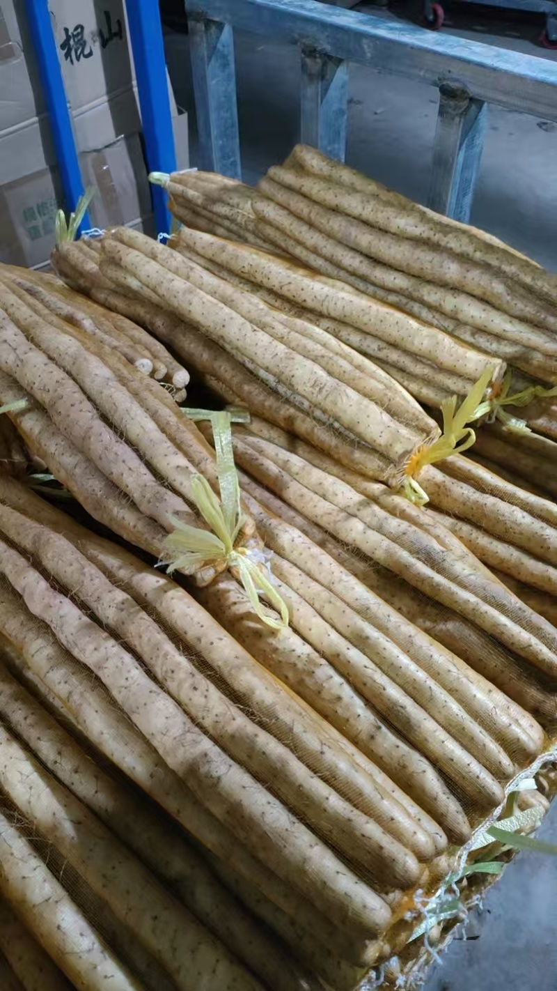 河北小白嘴白山药产地直发大量现货30-80好箱货