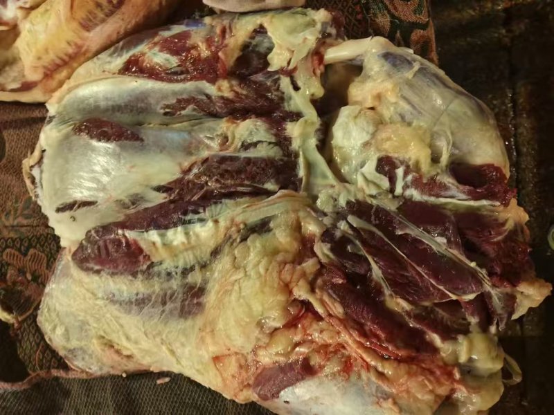 牛腿肉厂家直发品质保障对接全国批发市场等量大优惠