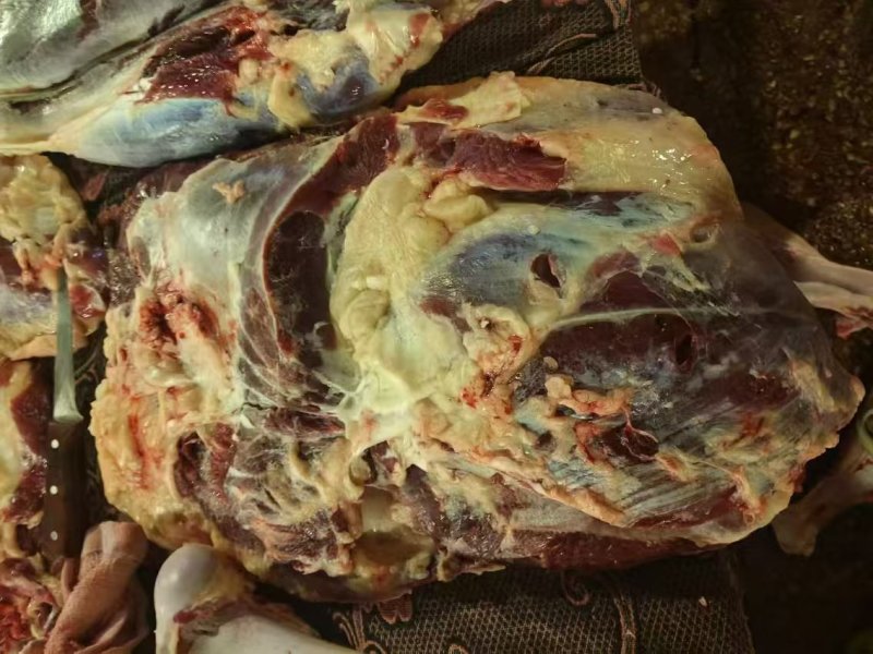 牛腿肉厂家直发品质保障对接全国批发市场等量大优惠