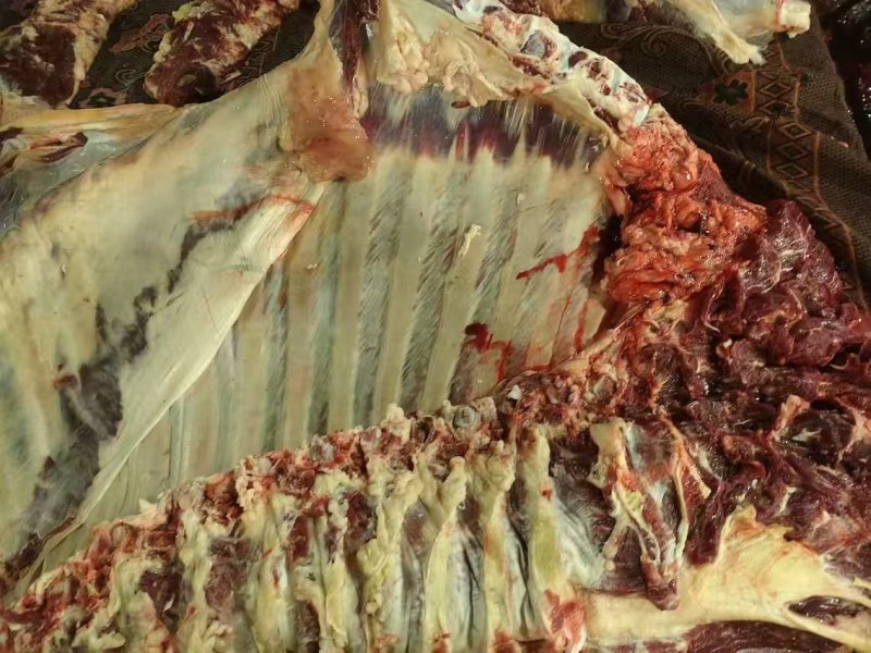 牛腩肉产地直发品质保障量大优惠对接全国等量大优惠