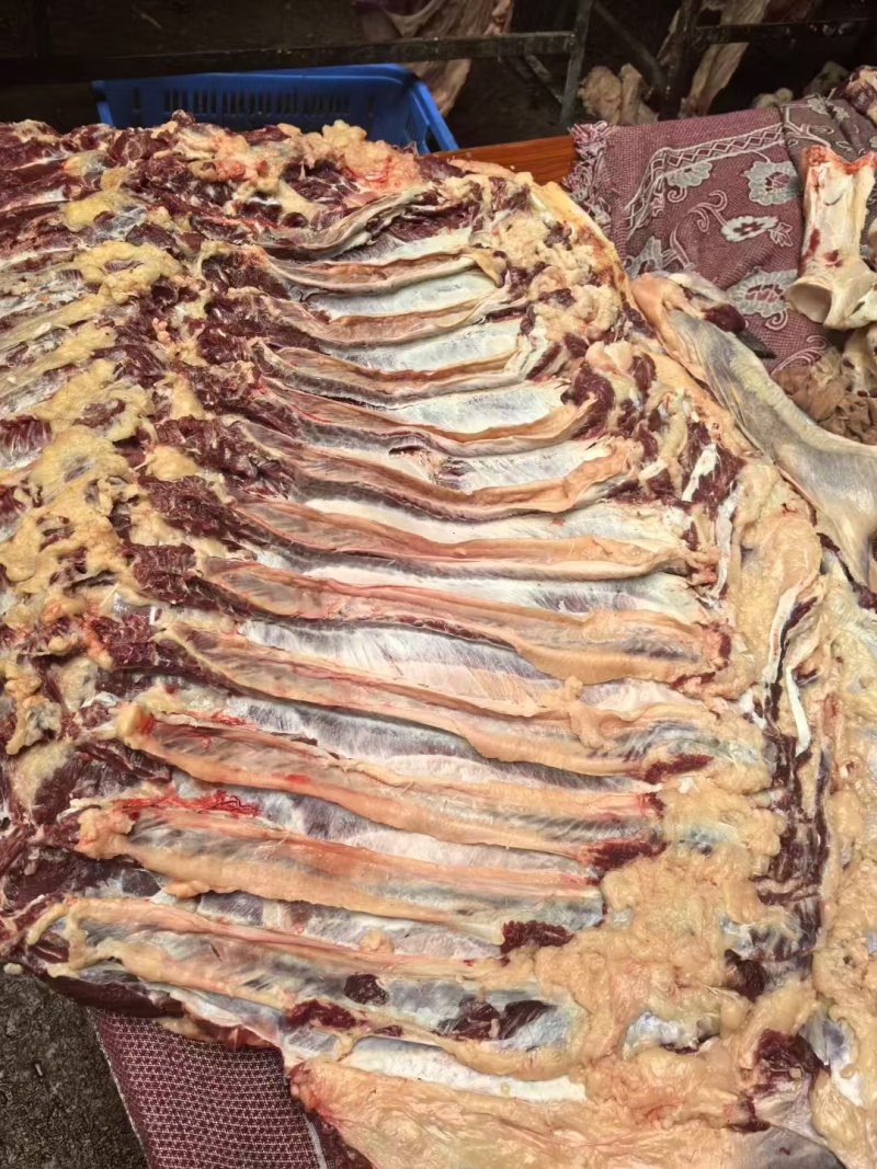 牛腩肉产地直发品质保障量大优惠对接全国等量大优惠