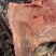 牛腩肉产地直发品质保障量大优惠对接全国等量大优惠