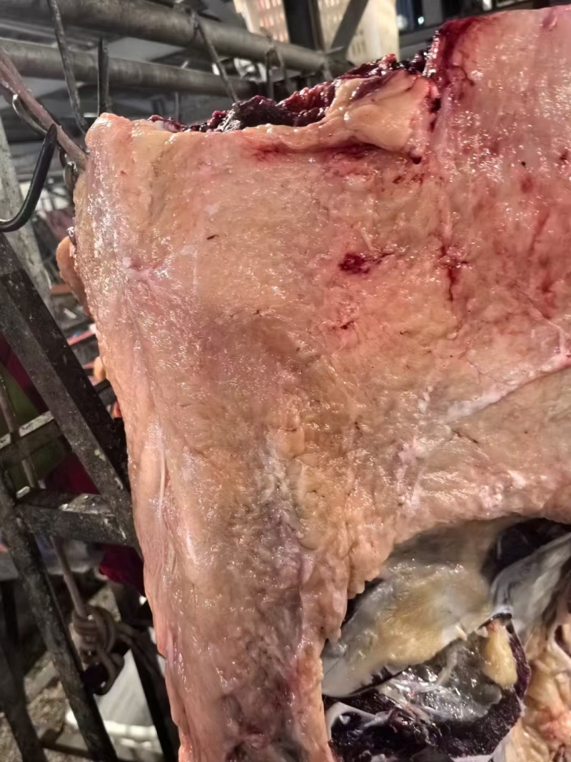 牛腩肉产地直发品质保障量大优惠对接全国等量大优惠