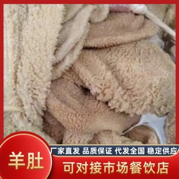 精品新鲜羊肚大量批发一手货源供应全国市场批发商