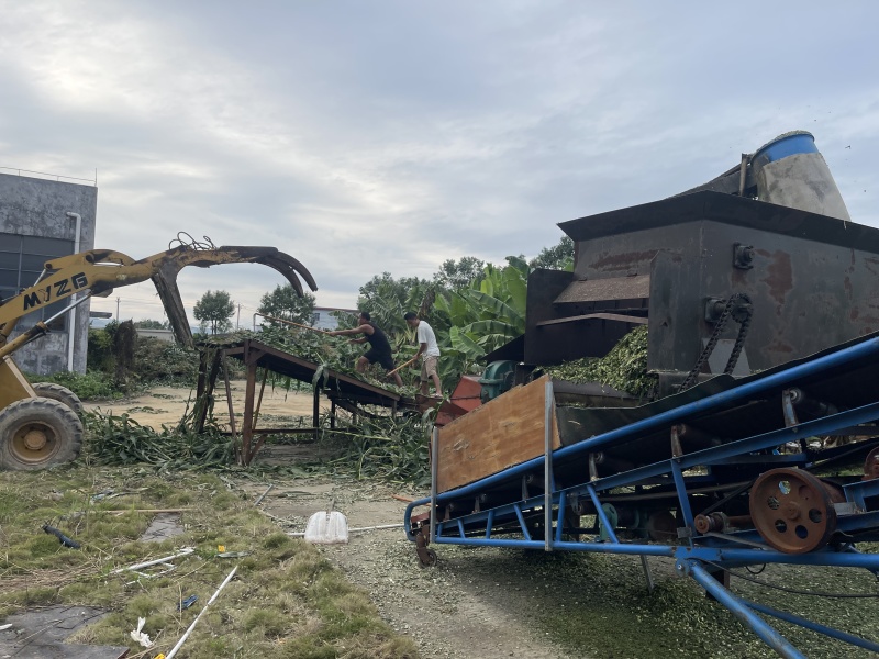 青贮玉米秸秆饲料打包压块广东基地直供质量保证全国发货