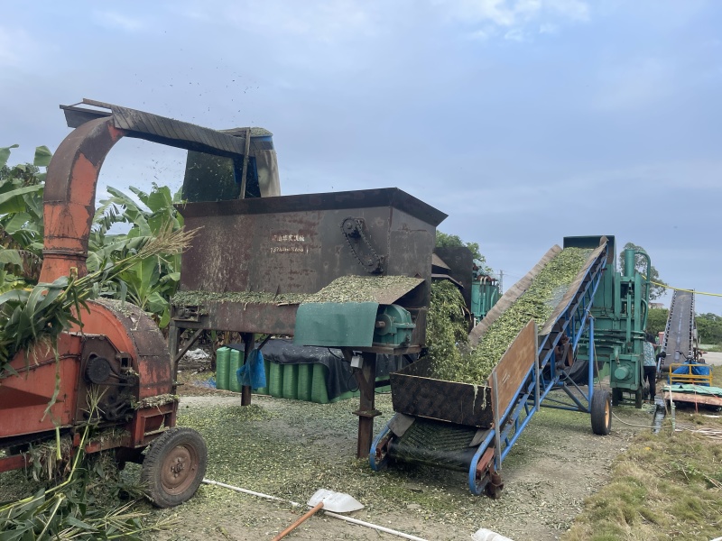 青贮玉米秸秆饲料打包压块广东基地直供质量保证全国发货