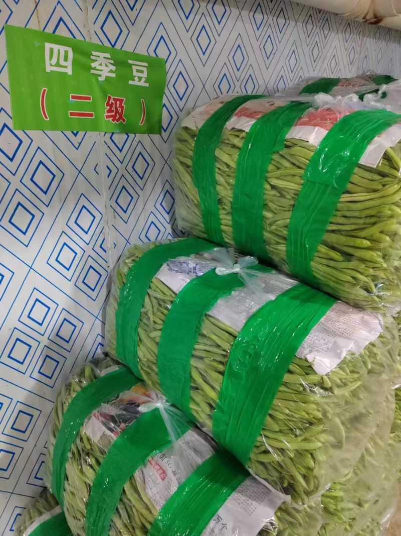 【四季豆】山东豆角货量大条形好无虫眼鲜嫩翠绿耐运输储存
