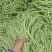 【四季豆】山东豆角货量大条形好无虫眼鲜嫩翠绿耐运输储存