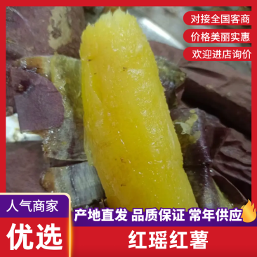 精品红瑶红薯大量上市冰糖心软糯香甜产地直发品质保障