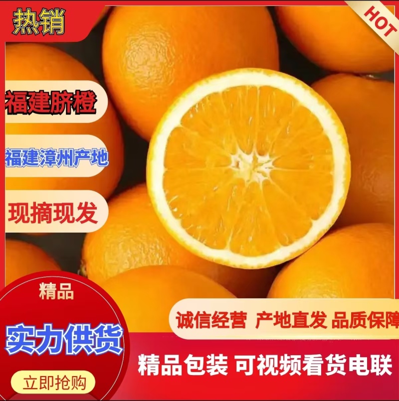精选福建脐橙甜橙纽荷尔脐橙皮薄汁多枝头现摘量大价优