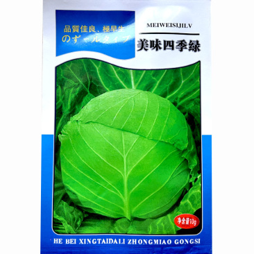 美味四季绿甘蓝种子早熟甘蓝叶色绿深圆形基地品种