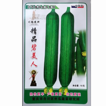 精品碧美人丝瓜种子早熟杂交耐湿热油皮丝瓜种籽瓜条油亮深绿