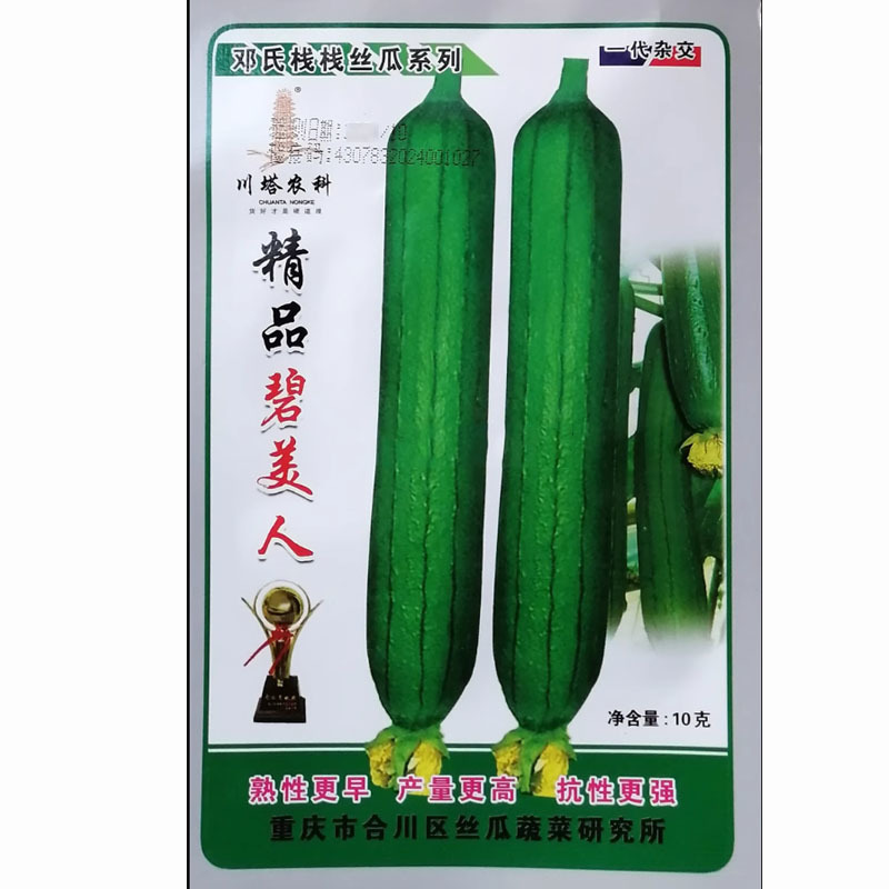 精品碧美人丝瓜种子早熟杂交耐湿热油皮丝瓜种籽瓜条油亮深绿