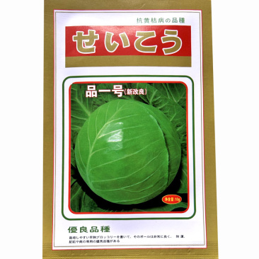 级品一号绿甘蓝种子早熟叶深绿色耐寒耐湿结球紧实