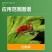正品联肼乙螨唑50%满施令柑橘红蛛蛛专用杀螨虫药农用杀
