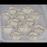 [牛]水饺纯手工规格齐全量大从优价格优惠一手货源