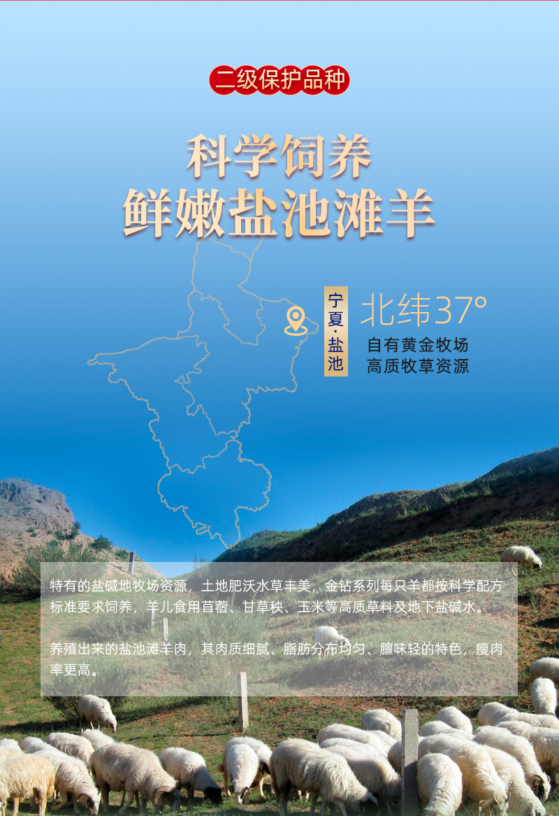 宁夏盐池滩羊肉金钻乐享礼盒法式单骨羊排羊前腿羊腱子羊蝎子