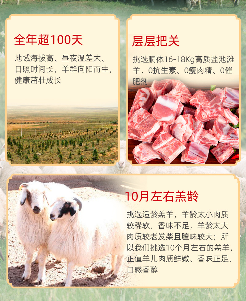 宁夏盐池滩羊肉金钻乐享礼盒法式单骨羊排羊前腿羊腱子羊蝎子