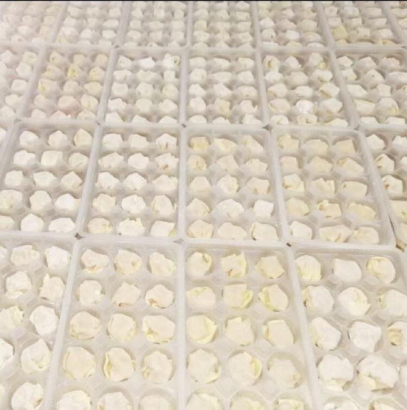 [牛]馄饨纯手工支持定制规格齐全支持视频看货