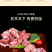 宁夏盐池滩羊肉银钻家庭装羊蝎子清炖羊肉切块