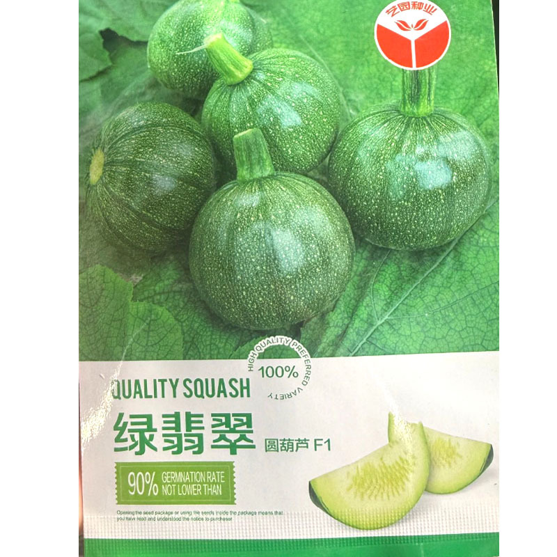 绿翡翠圆西葫芦种子矮生直立肉质细腻早熟抗病