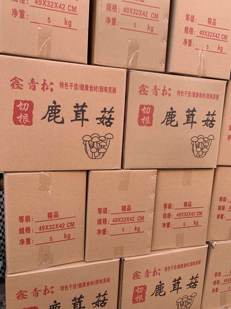 鹿茸菇