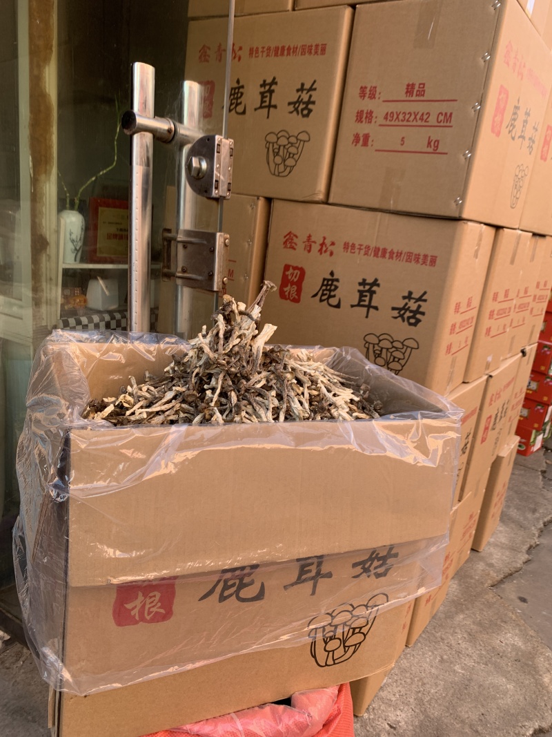 鹿茸菇