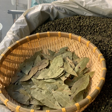 特绿香叶