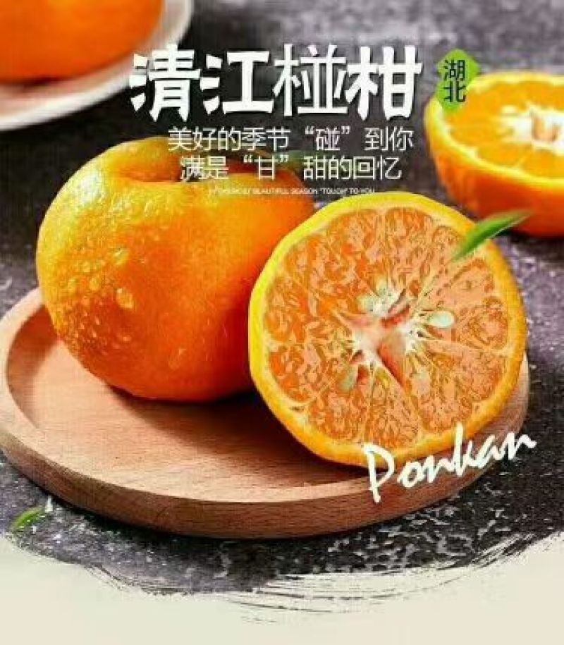 【一件代发】湖北椪柑汁水对甜度高品质保障代发全国包邮