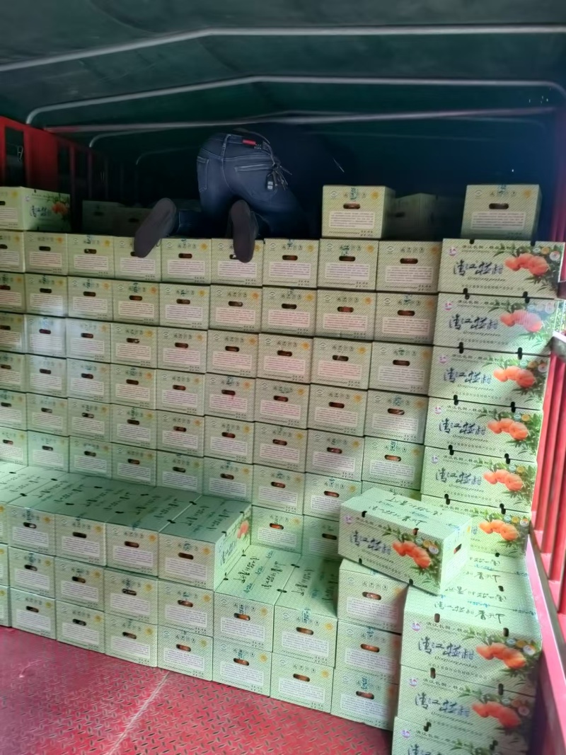 【一件代发】湖北椪柑汁水对甜度高品质保障代发全国包邮