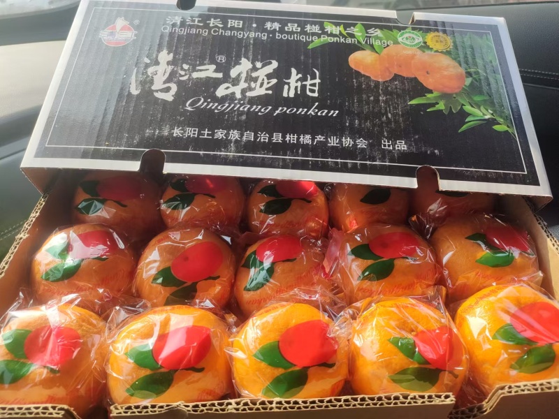 【一件代发】湖北椪柑汁水对甜度高品质保障代发全国包邮