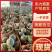 云南西双版纳勐海县美都西瓜包熟包甜量大从优欢迎咨询