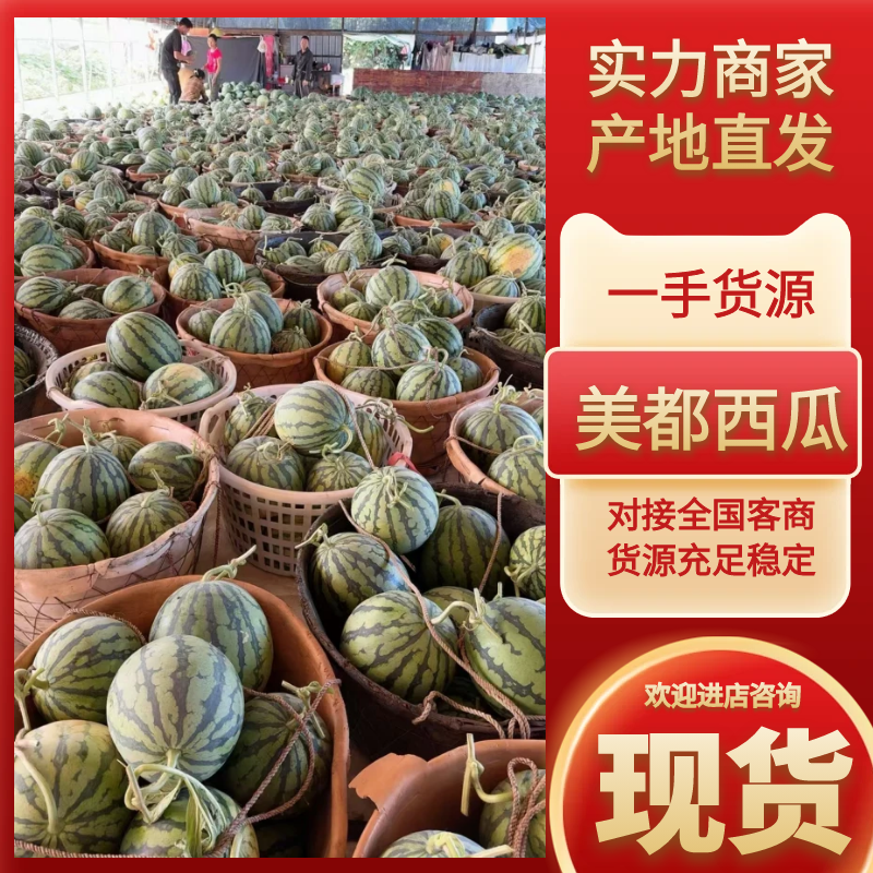 云南西双版纳勐海县美都西瓜包熟包甜量大从优欢迎咨询