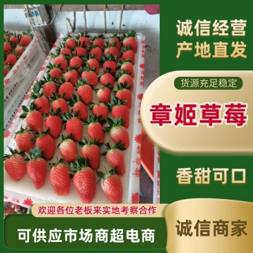 山东章姬草莓产地代收代办基地直供、协助找车、送货上门、