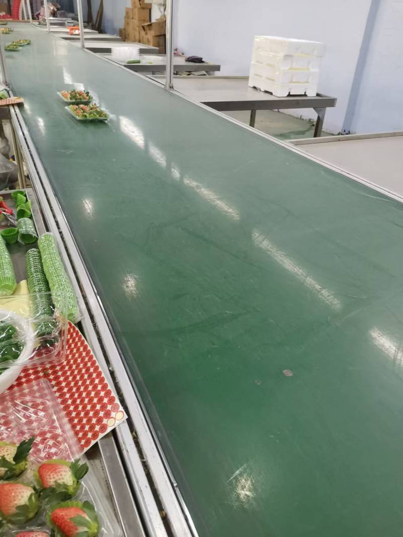 草莓山东甜宝草莓大量供应产地直发对接市场电商