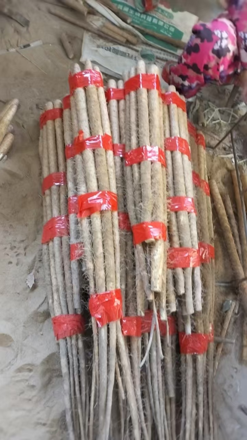 陕西渭南山药大荔县铁棍山药基地直发货源充足