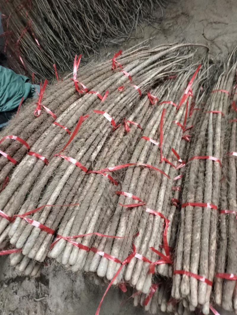 陕西渭南山药大荔县铁棍山药基地直发货源充足
