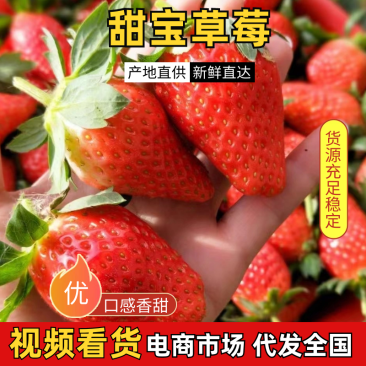 草莓山东甜宝草莓大量供应产地直发对接市场电商