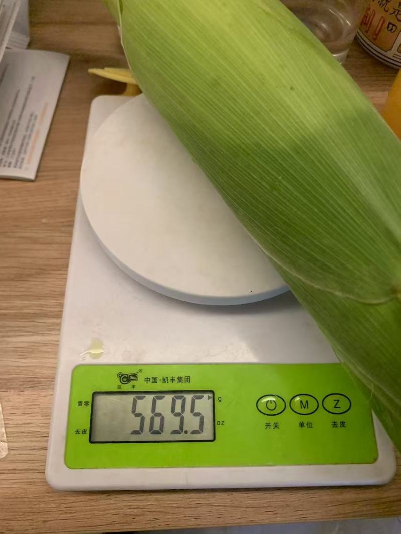 【推荐】精品玉米太阳花玉米口感好品质保障可视频看货欢迎