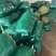 【推荐】精品玉米太阳花玉米口感好品质保障可视频看货欢迎