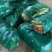 【推荐】精品玉米太阳花玉米口感好品质保障可视频看货欢迎