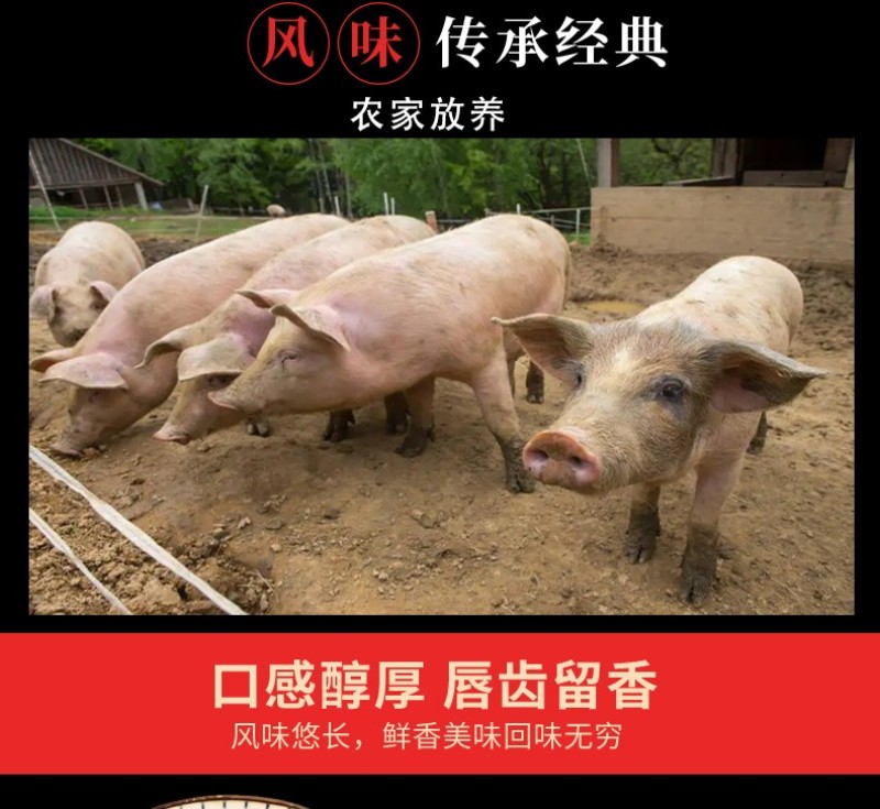 恩施鹤峰特产腊肉腊排骨柴火烟熏排骨500g/袋真空包装